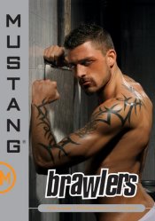 Mustang Studios, Brawlers